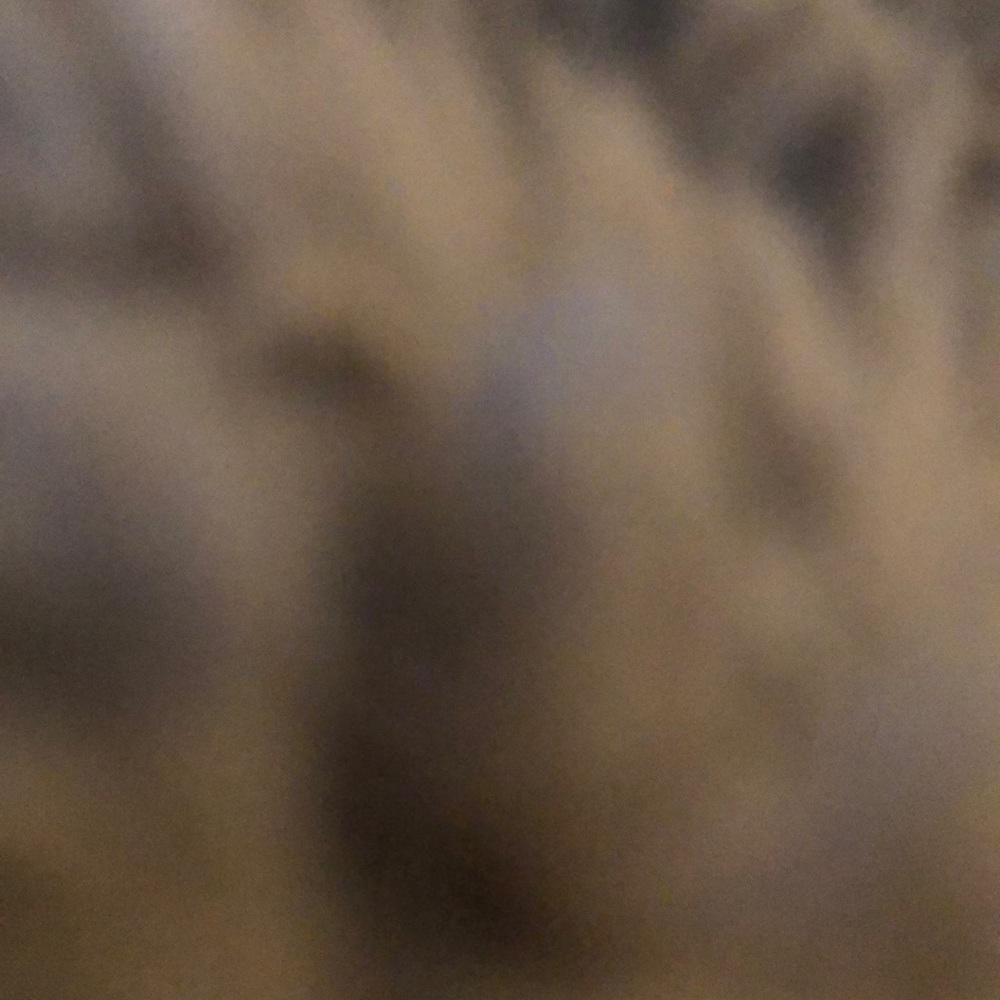 Meet your Posher, Lai